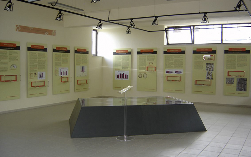 Museo Archeoantropologico Lodovico Nicola di Giura