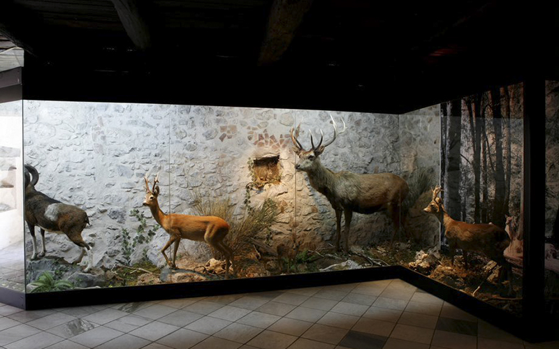 Museo naturalistico Il Nibbio a Morano Calabro