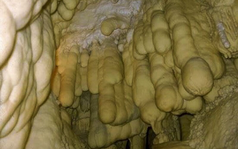 Grotta di Panno Bianco Pollino Calabria