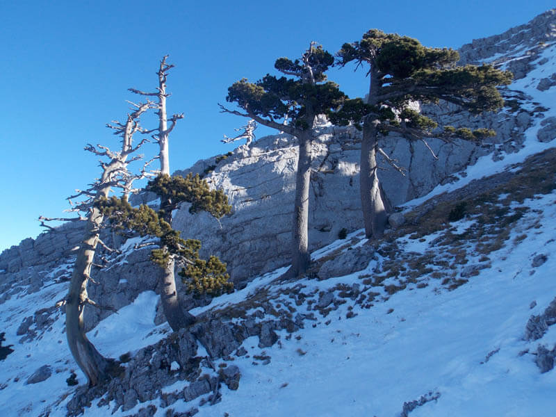 Alpinismo su ghiaccio - Cresta NO monte Pollino