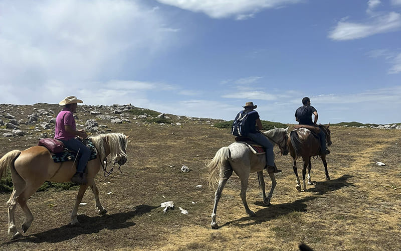 Escursioni a cavallo Parco Nazionale del Pollino