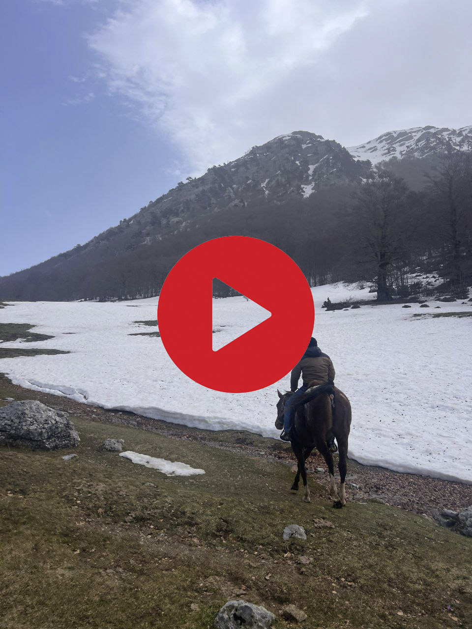 Cavalli e cavalieri attraversano paesaggi innevati del Pollino in un’escursione invernale suggestiva ©Riccardo Sartori