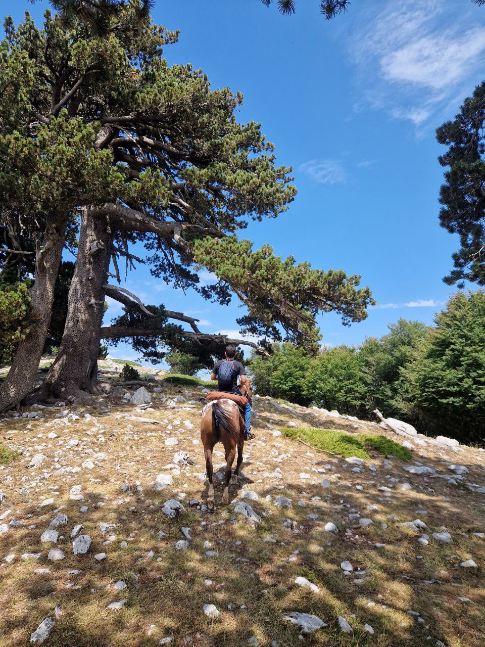 Passeggiata a cavallo tra i sentieri del Parco del Pollino ©Riccardo Sartori