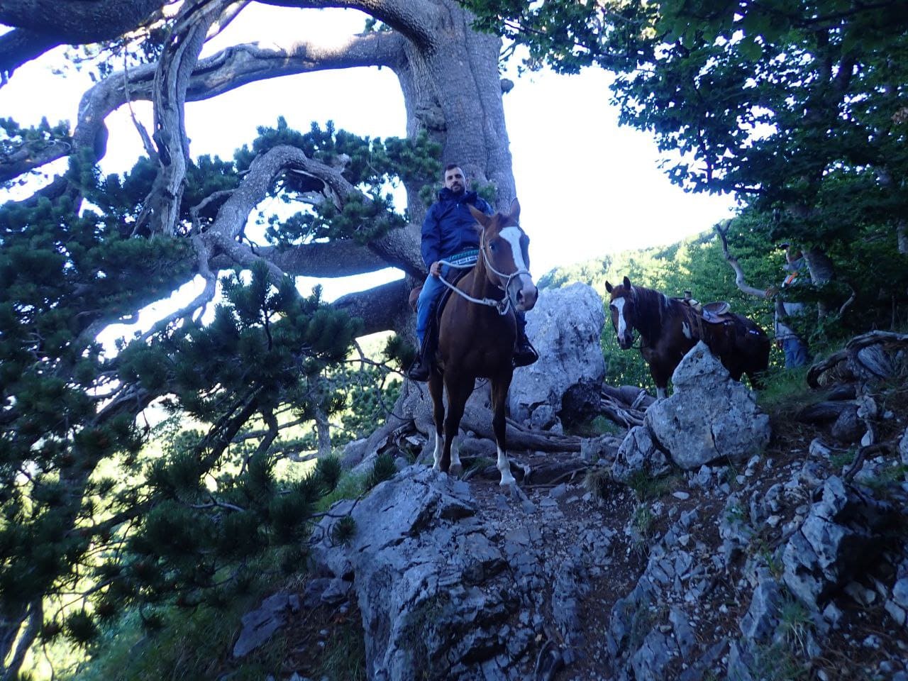Cavalcando sulle creste del Pollino ©Riccardo Sartori