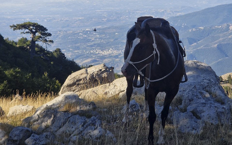 Dal Patriarca alla cima del Dolcedorme -Riccardo Sartori