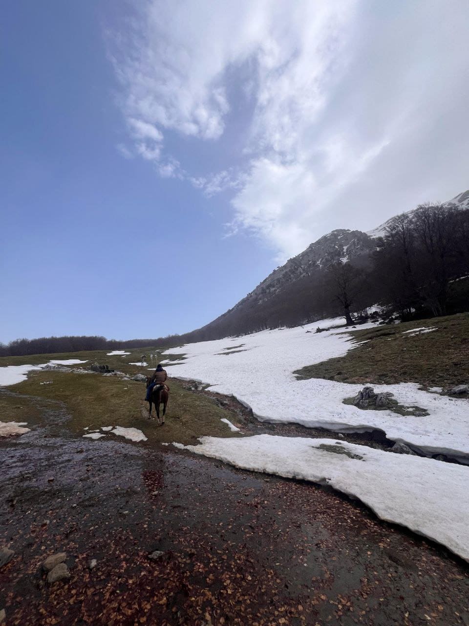 Boschi in inverno nel Parco del Pollino ©Riccardo Sartori