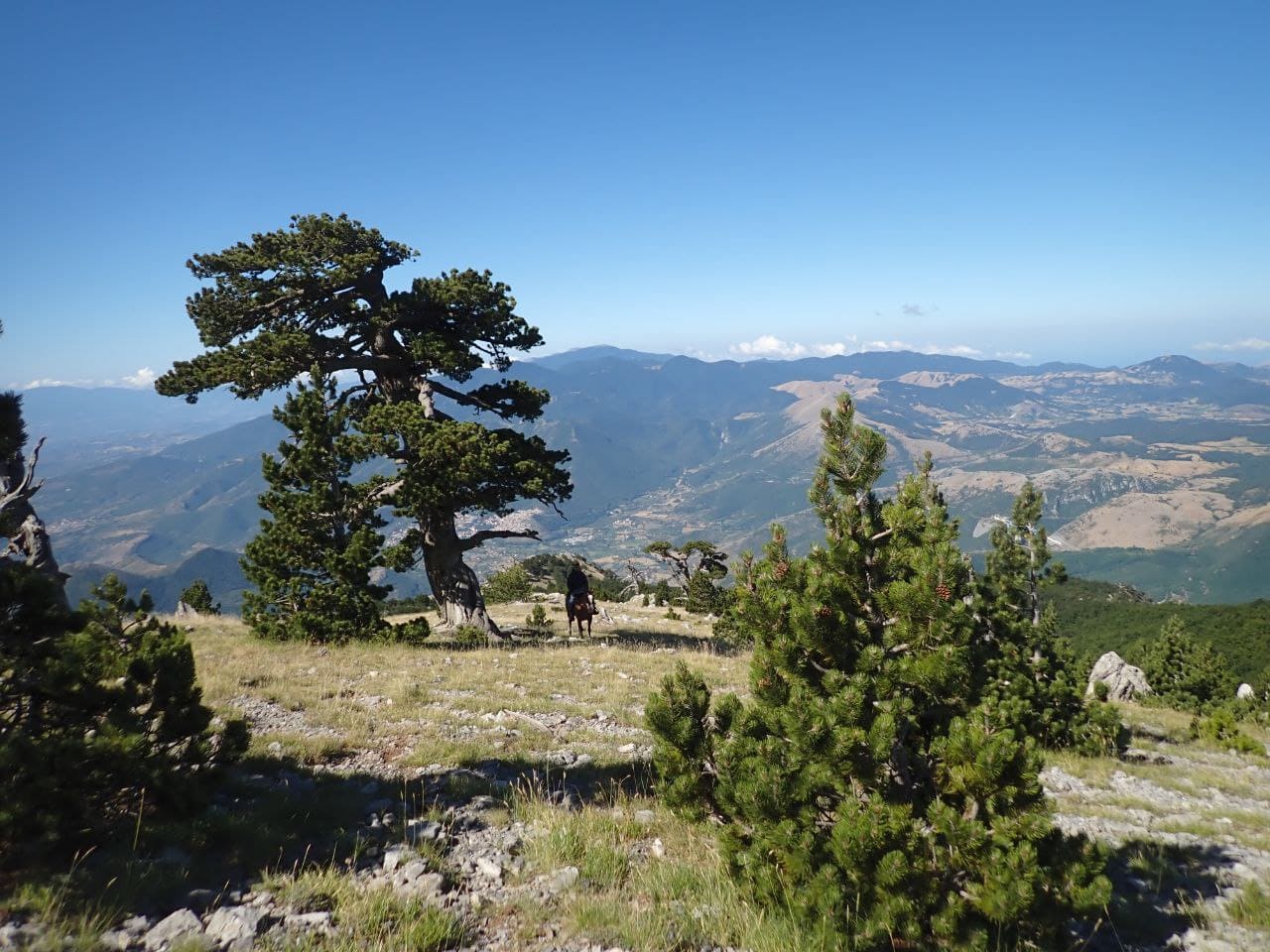 Orizzonte montuoso nel Parco del Pollino ©Riccardo Sartori