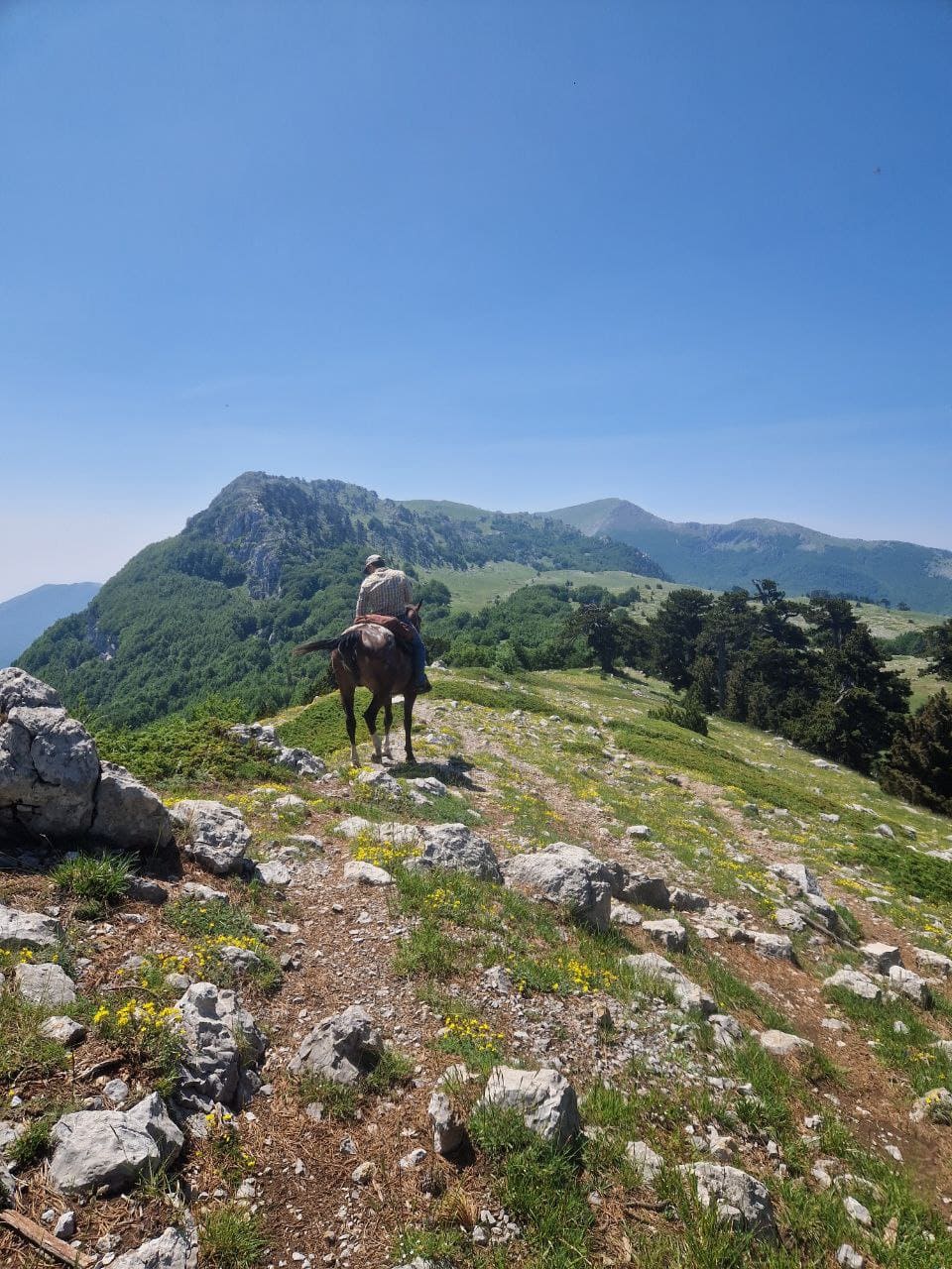 Passeggiata a cavallo tra i sentieri del Parco del Pollino ©Riccardo Sartori
