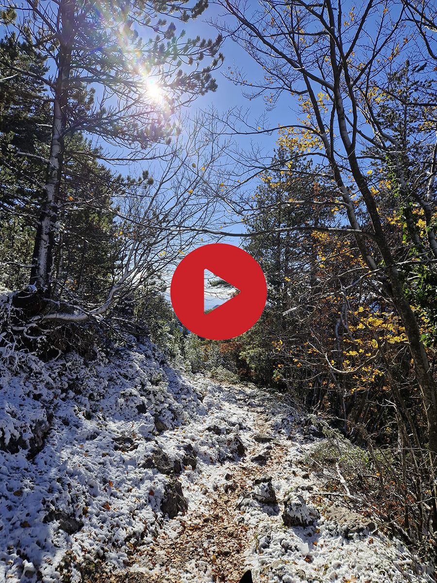 Cavallo sul sentiero storico della Scala di Gaudolino nel Pollino &copy;Riccardo Sartori