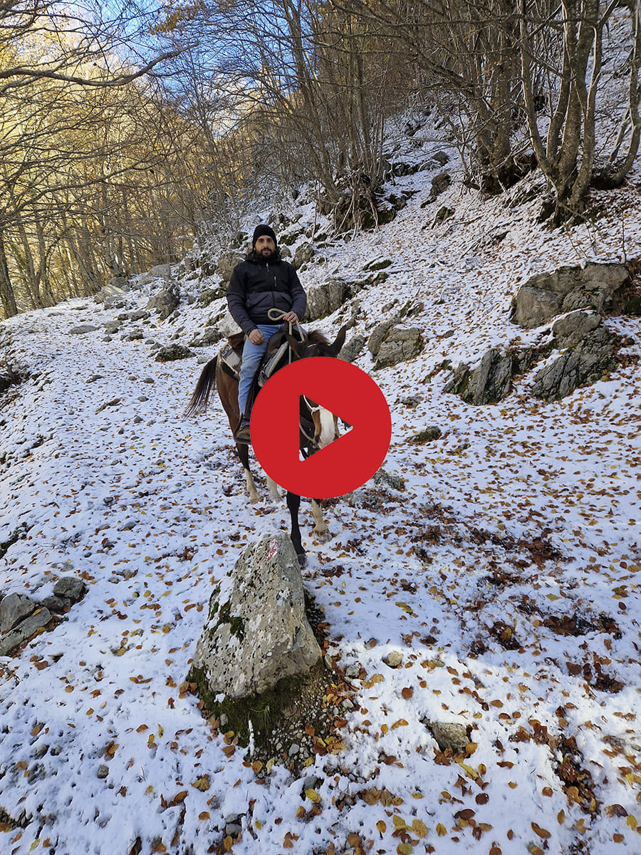 Cavallo lungo l’antica scala dei moranesi nel Parco del Pollino &copy;Riccardo Sartori