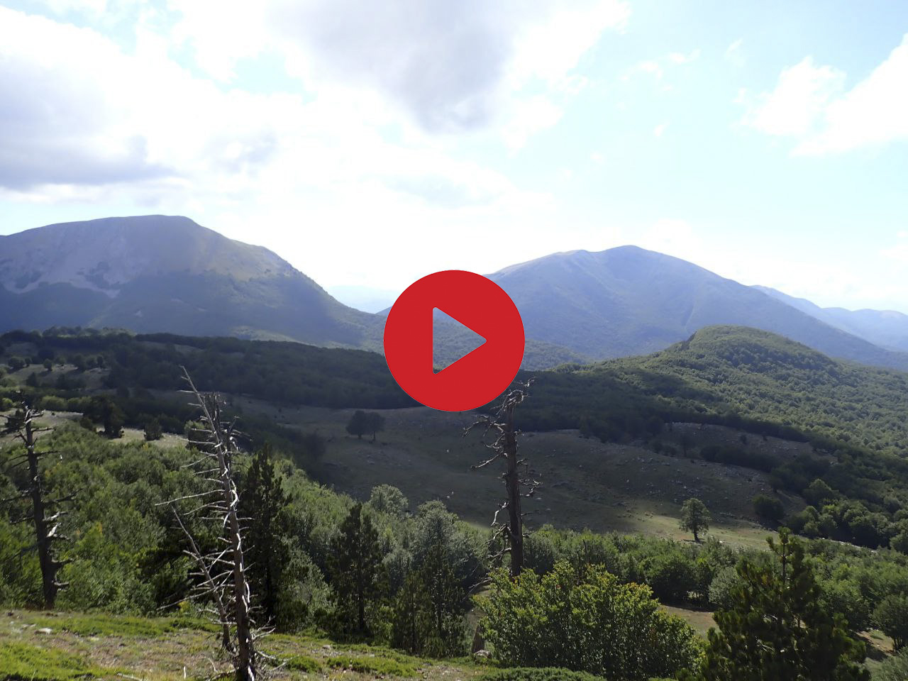 Cavalli liberi ai Piani di Pollino ©Riccardo Sartori