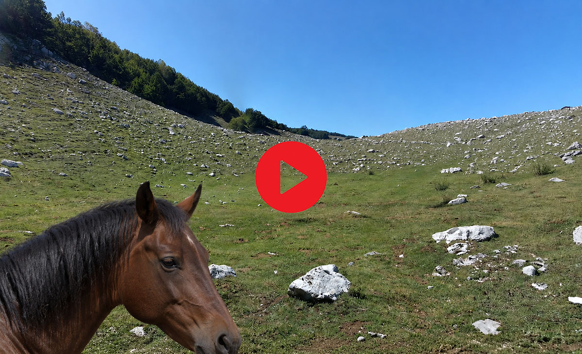 Uno sguardo ravvicinato sull'immensità dei Piani di Pollino, dove la sensazione di libertà è totale &copy;Riccardo Sartori