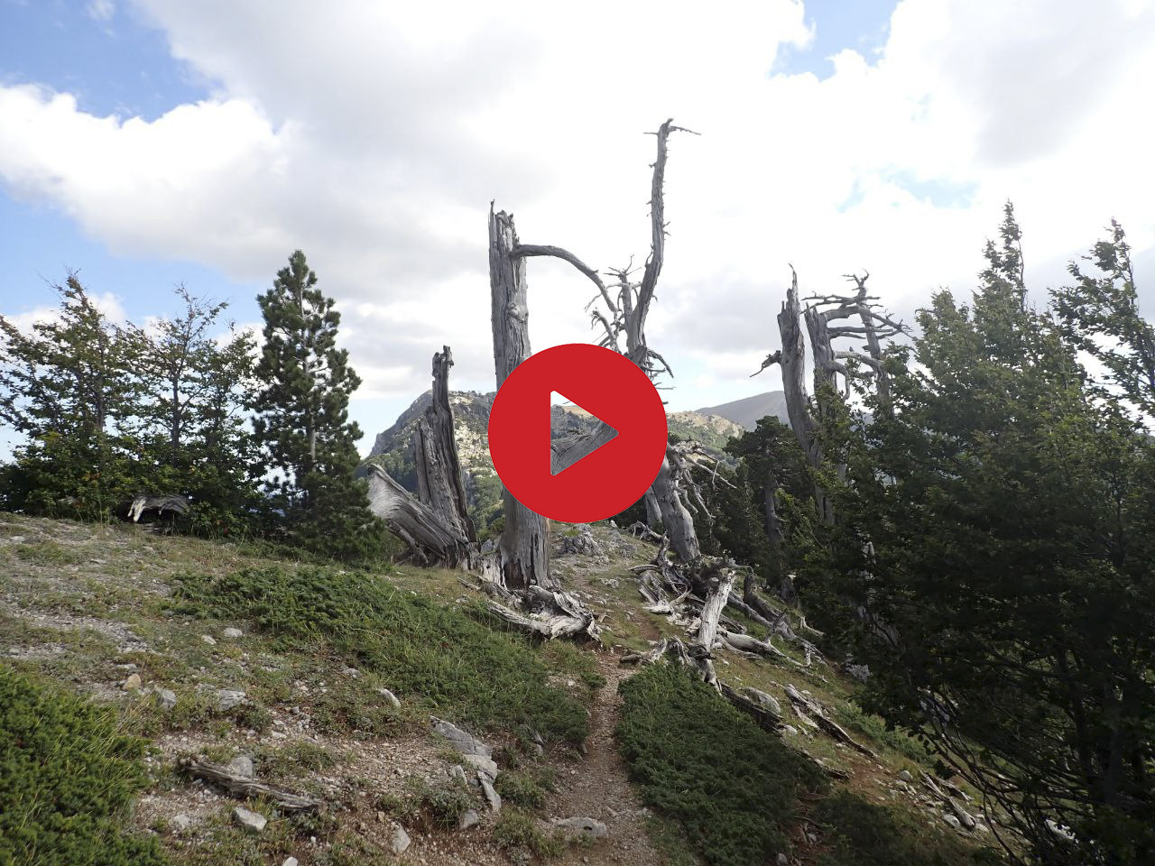 Sentiero a cavallo nei monti del Pollino ©Riccardo Sartori