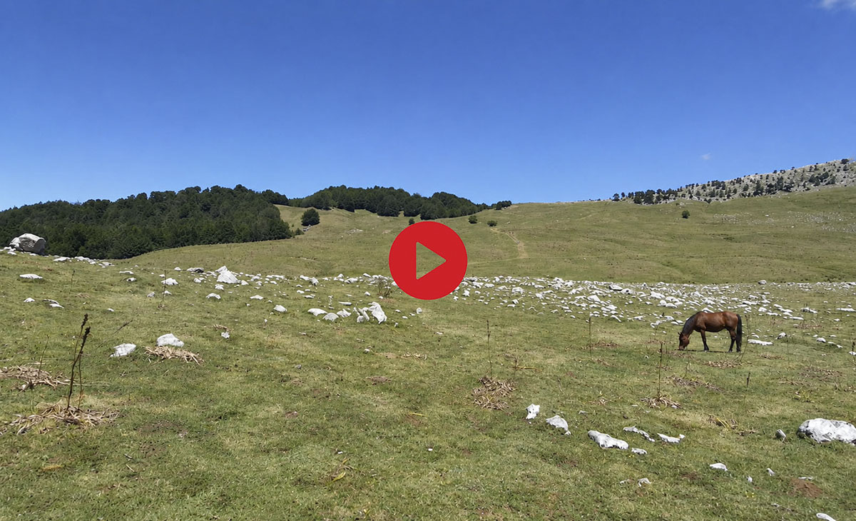 Attraversamento dei Piani tra pascoli storici e vette sullo sfondo &copy;Riccardo Sartori