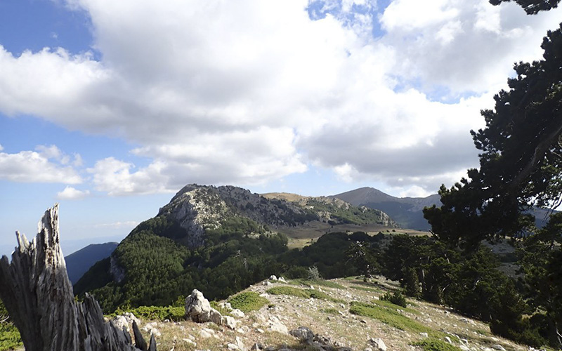 Dai Piani di Pollino alla Serra Crispo ©Riccardo Sartori