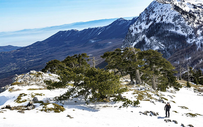 Serra di Crispo, sentiero innevato