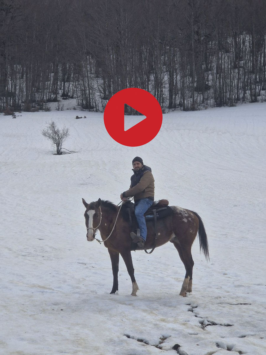 Cavallo al Piano di Gaudolino nella neve del Pollino &copy;Riccardo Sartori