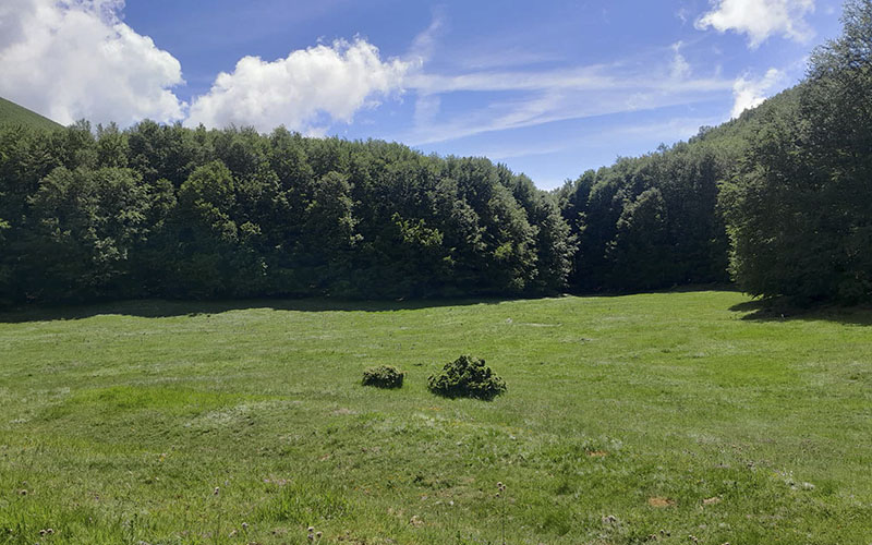 Escursione dal Pantanello al Saiettaro