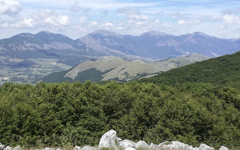 Escursione Monte Palanuda