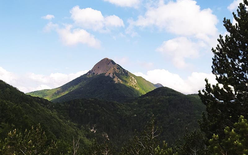 Monte La Spina