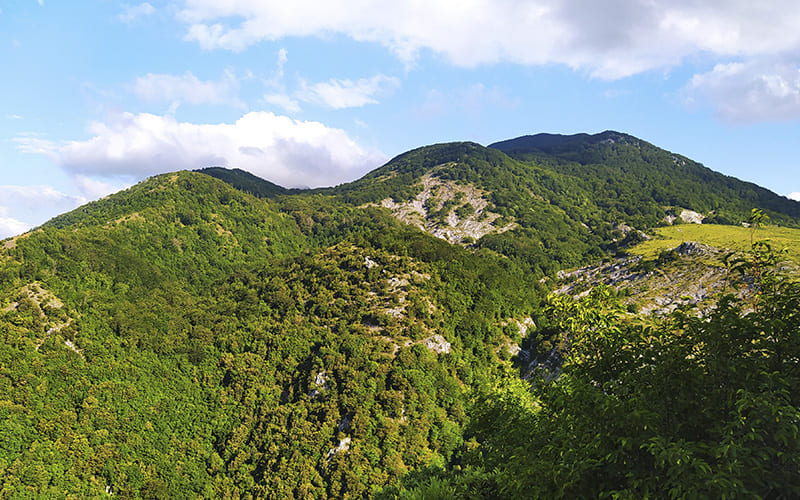 Escursione Monte Zaccana