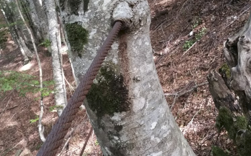 Schiena del Lombardo