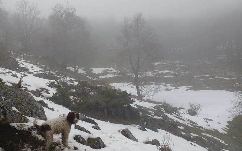 Schiena del Trattone