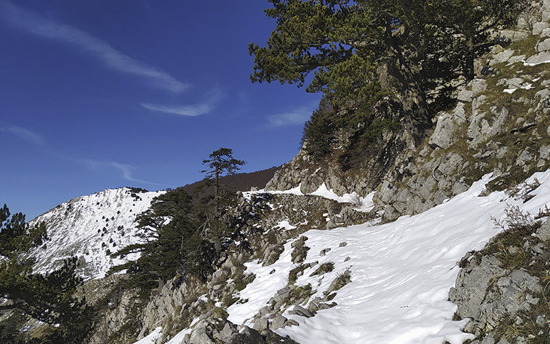 Escursione Sentiero della Tagliata