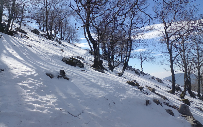Serra del Lepre, sentiero innevato