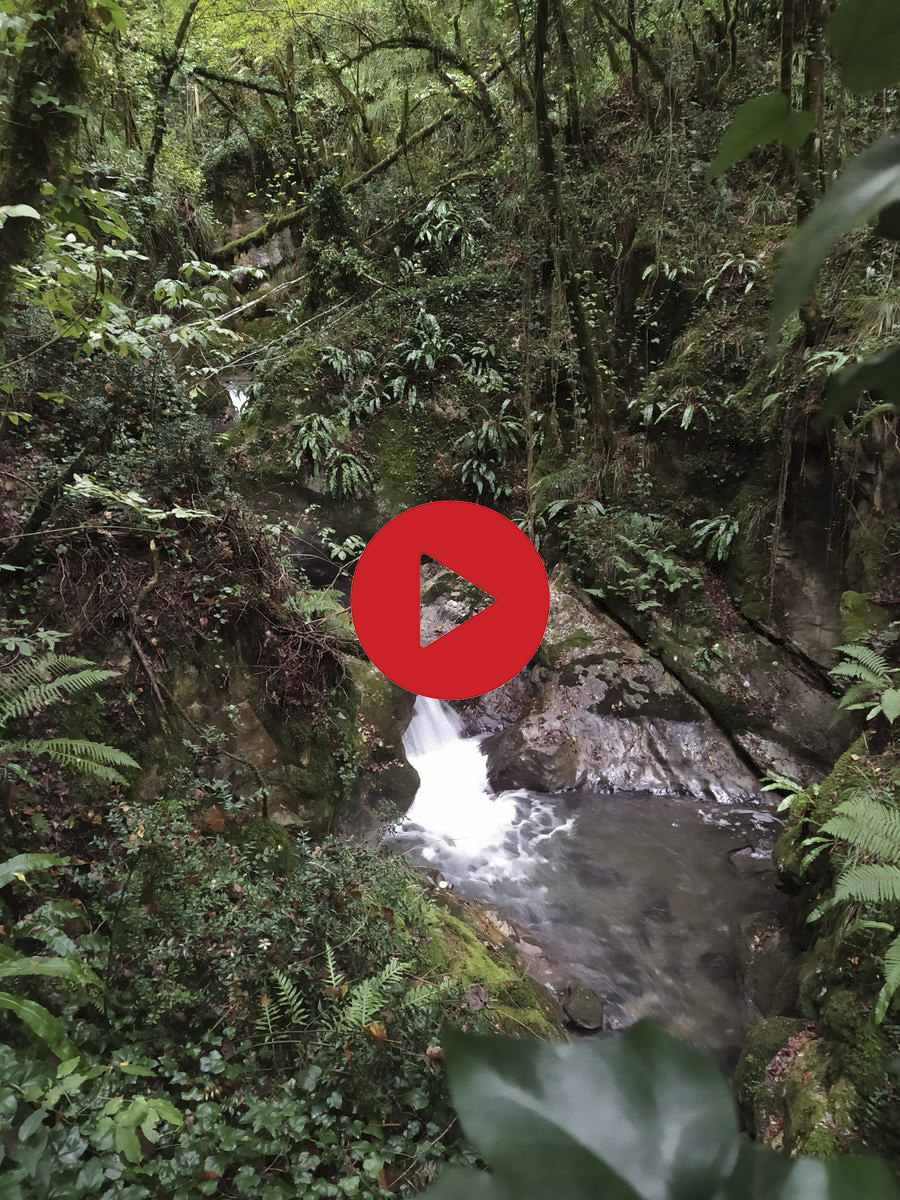 Sentiero Fosso Paraturo a Rotonda