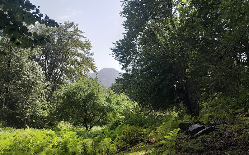 Anello dal Pantanello al Santuario del Pettoruto