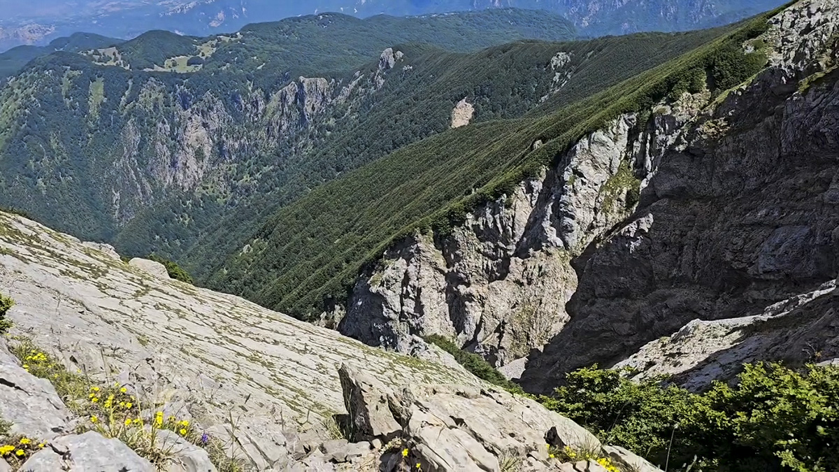 Ampio panorama montano con ripidi pendii rocciosi in primo piano che scendono verso una profonda valle boscosa sotto pareti di roccia calcarea &copy;Salvatore Severini