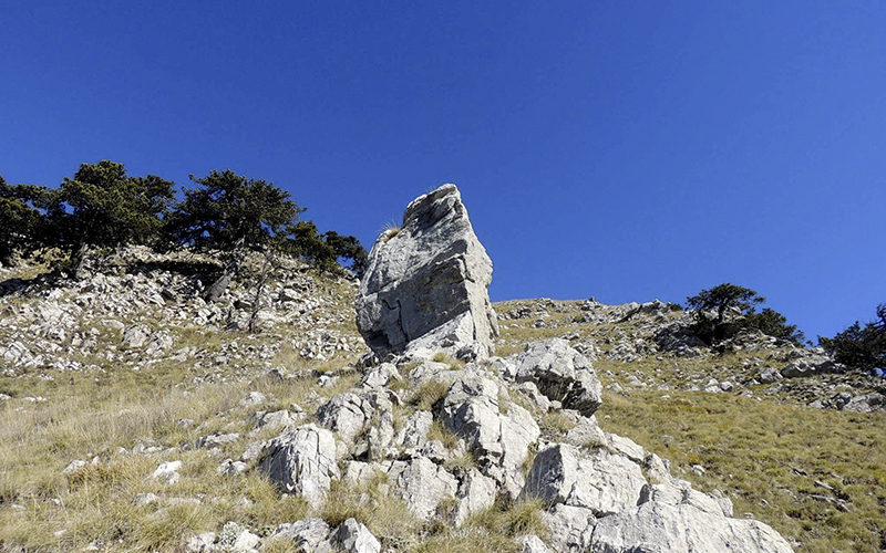 Celsa Bianca nel Parco Nazionale del Pollino