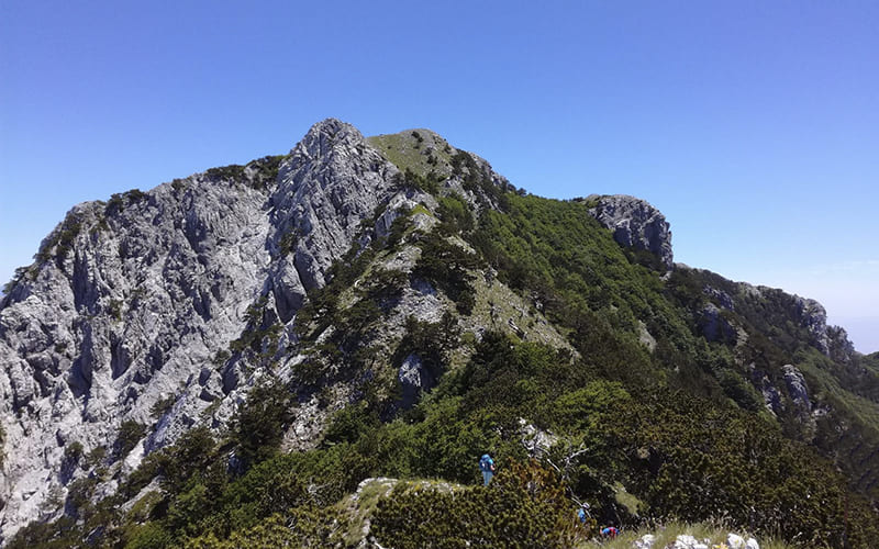 Escursione La Montea &copy;Francesco Morello