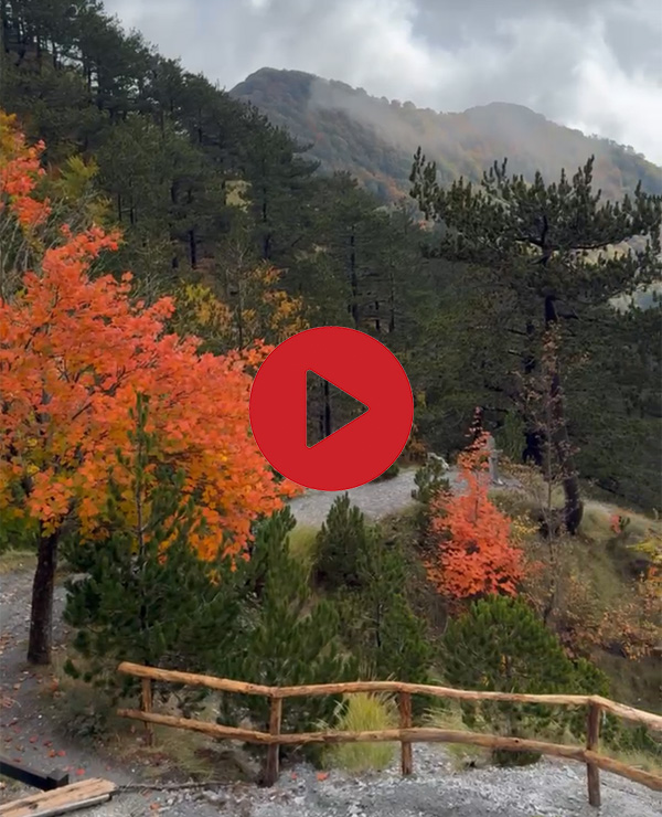 Escursione sul Monte La Caccia &copy;Antonio Di Paola