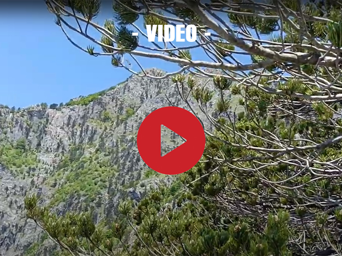 Salita al monte La Caccia da Trifari, per Serra la Croce, passo del Petricelle e discesa dalla cresta est ripida ed esposta ©Giuseppe De Michele