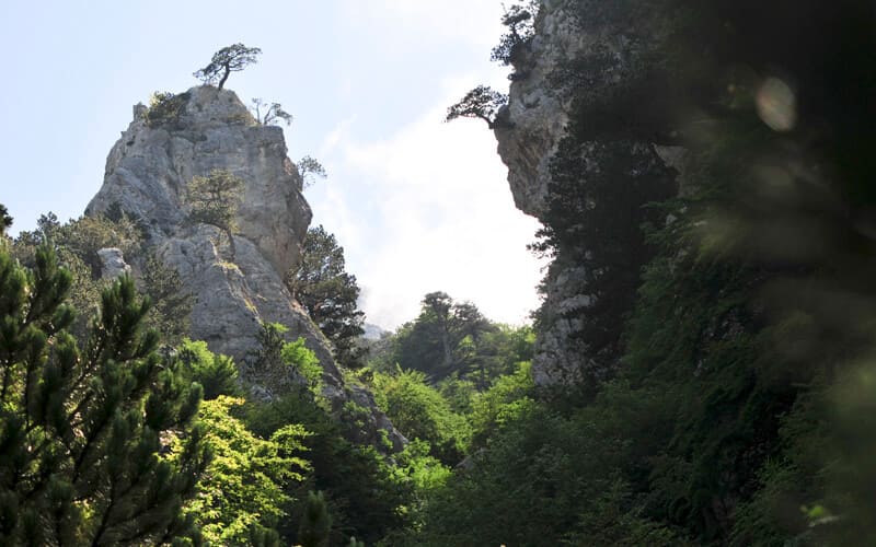 Dolcedorme dal canalone di Scilla e Cariddi