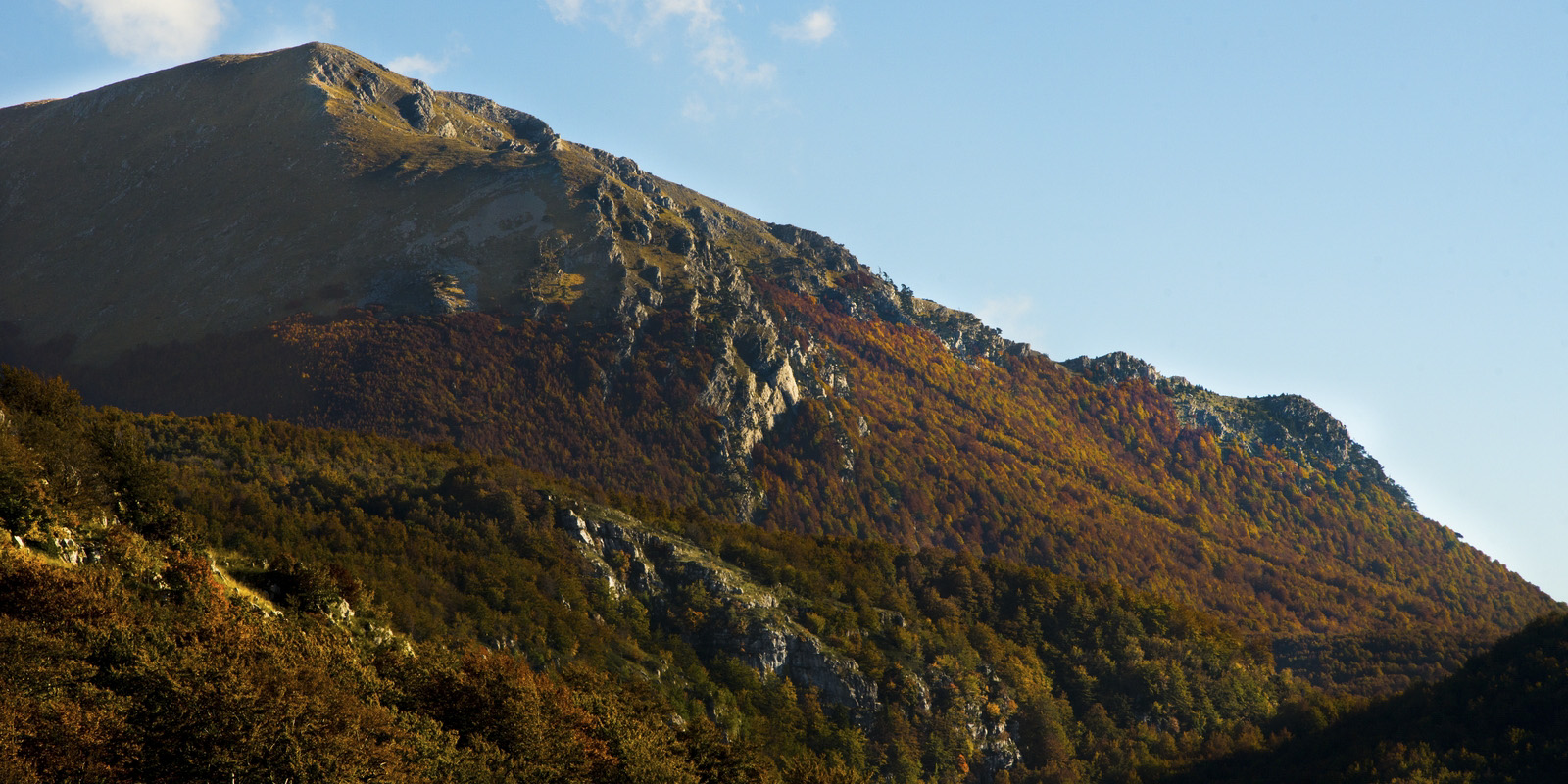 Foliage nel Parco del Pollino