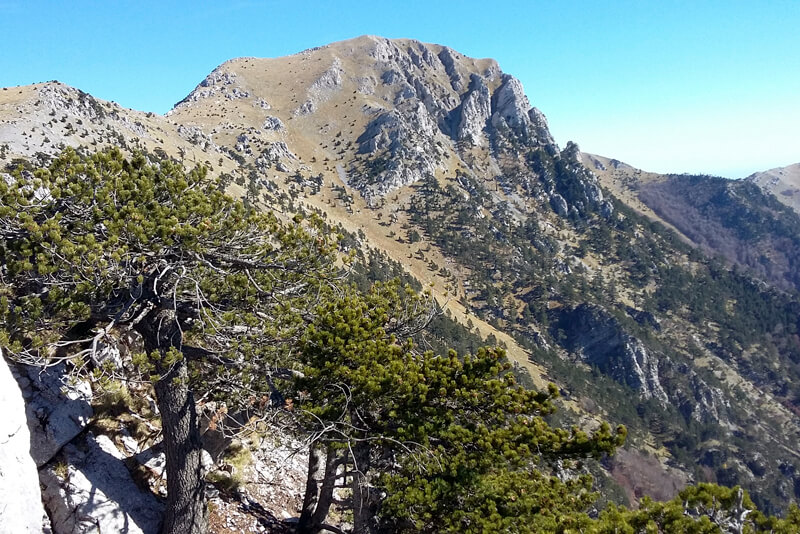 Escursione Serra Dolcedorme