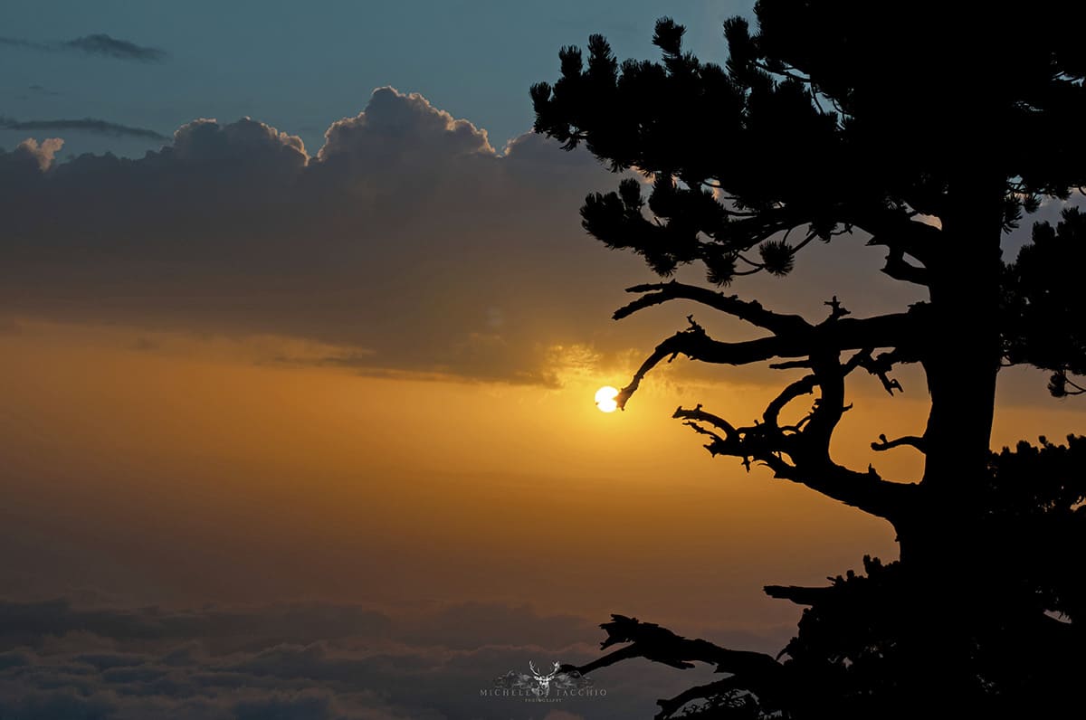 Panorama al tramonto su Serra di Crispo &copy;Michele di Tacchio