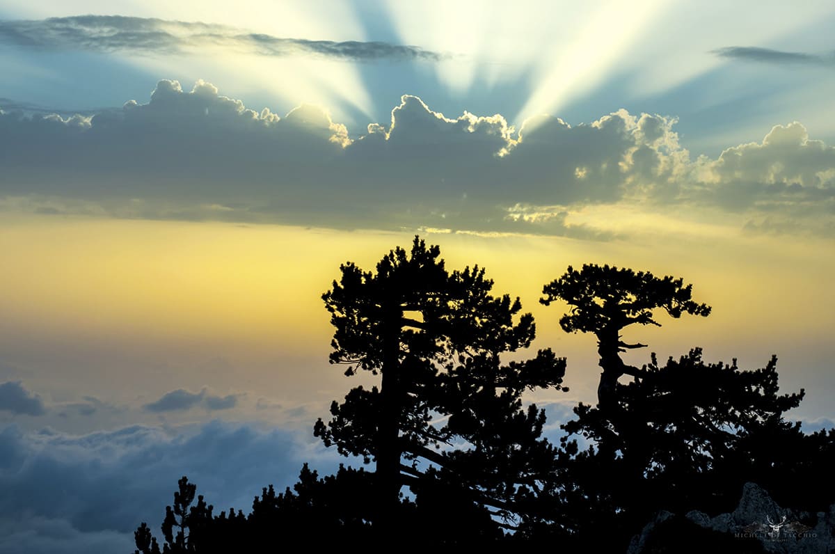 Escursione Serra di Crispo &copy;Michele di Tacchio