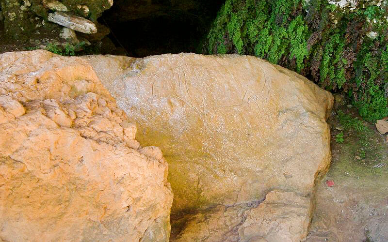 Grotta del Romito a Papasidero | Parco Pollino