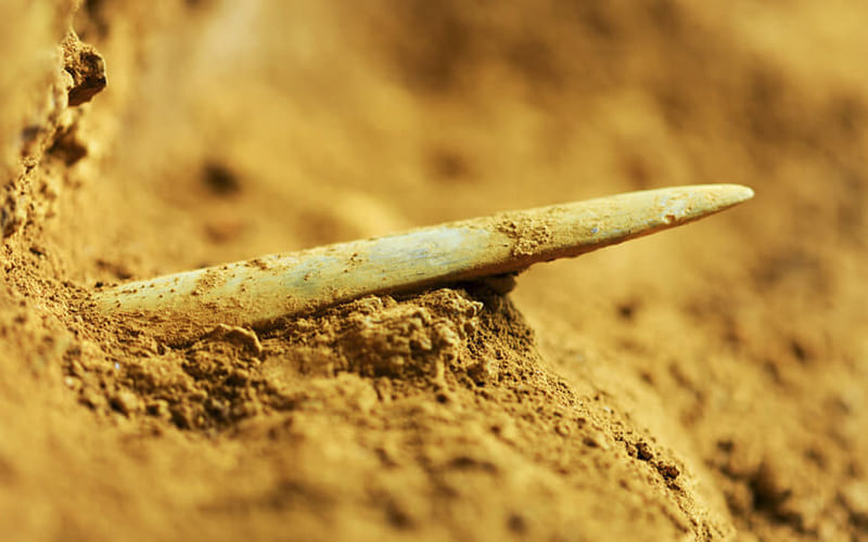 Siti archeologici, aree e monasteri rupestri Parco del Pollino