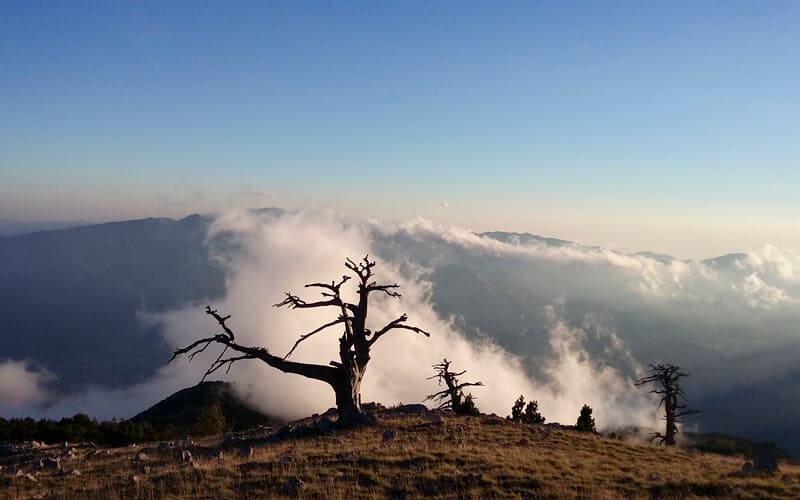 Il parco nazionale del Pollino