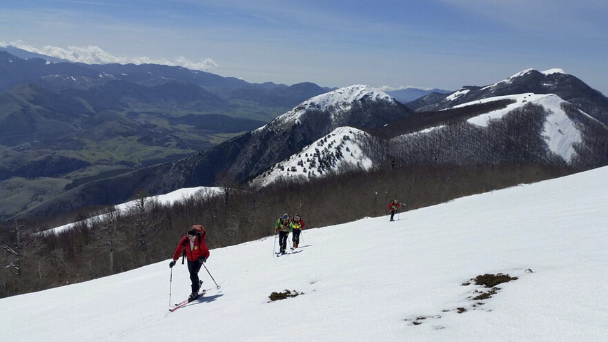 Sci alpinista in risalita tra bosco e cresta su Serra del Prete