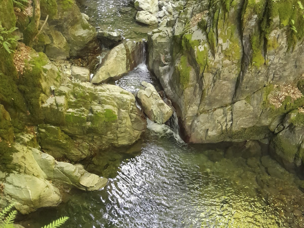 Torrente di montagna che scorre tra grandi rocce muschiose formando piccole cascate e pozze limpide &copy;Felice Lucchese