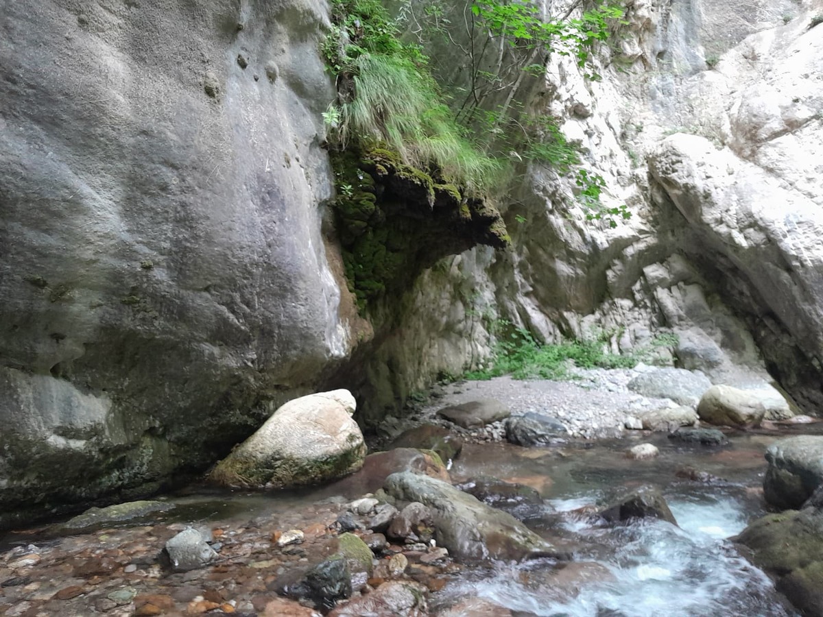 Ruscello di montagna con sassi sul fondo e una grande roccia con muschio e piante sulla sinistra &copy;Felice Lucchese