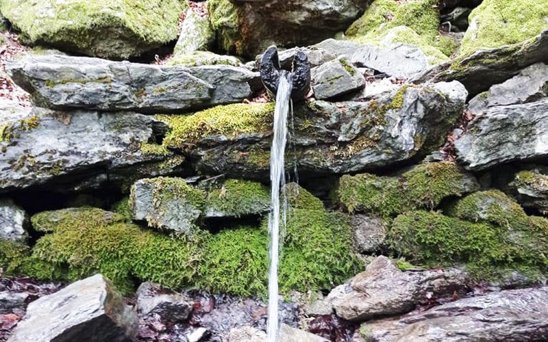 Sorgenti Parco del Pollino