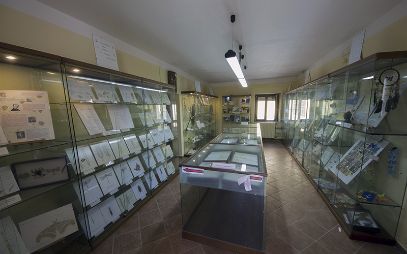 Museo Laboratorio della Fauna Minore del Parco Nazionale del Pollino