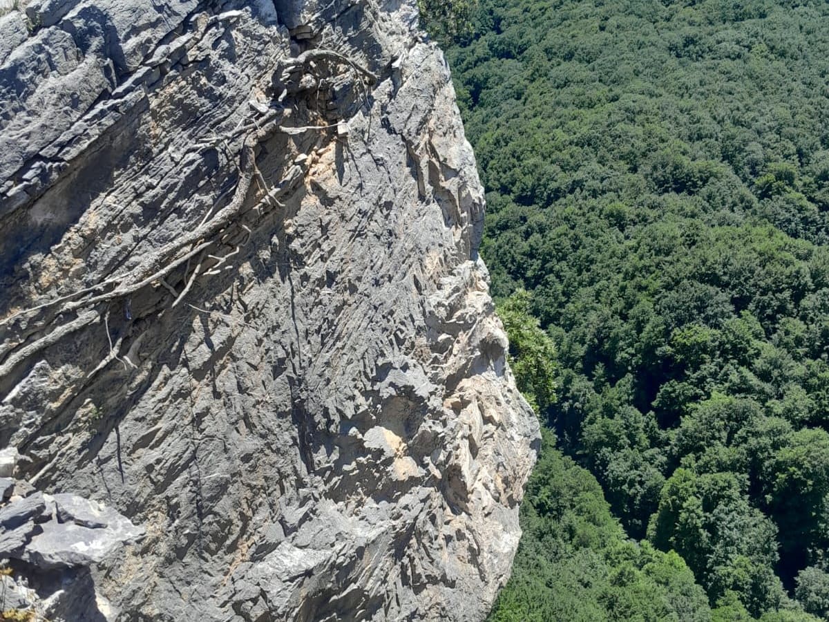 Roccia a picco sul vuoto e bosco sottostante nella Valle dell'Argentino &copy;Felice Lucchese